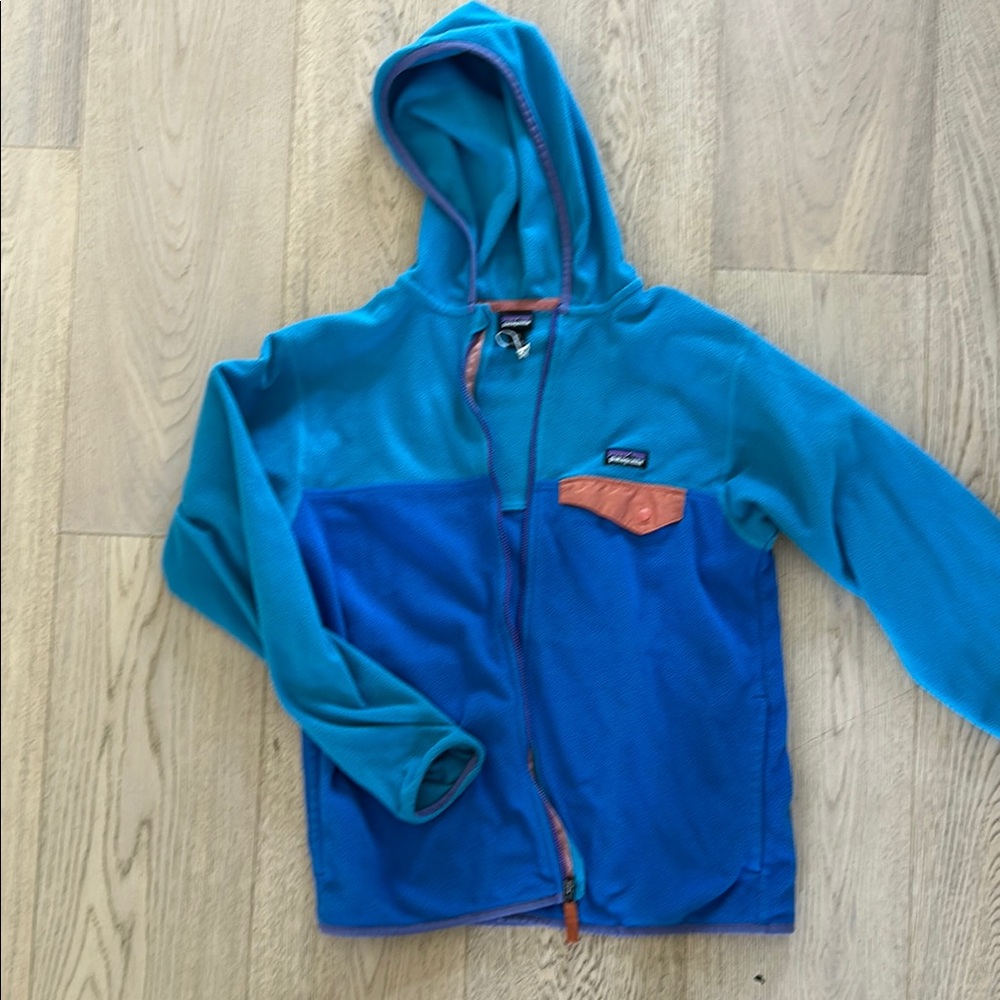 Patagonia Blue and Orange Sweatshirt Hoodie